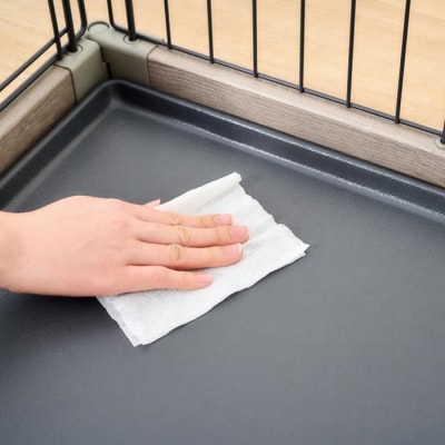 【80枚入×32P】ペット用ウェットティッシュ　DPWT