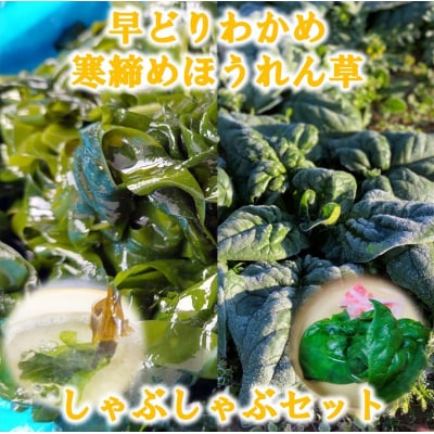 【先行受付】 寒締めほうれん草&早どりわかめ 三陸普代しゃぶしゃぶセット