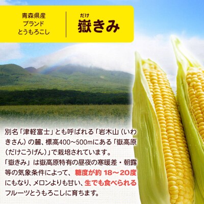 嶽きみ焼酎セット(嶽きみ焼酎34度・25度 各500ml×1本)|24_ank-090201