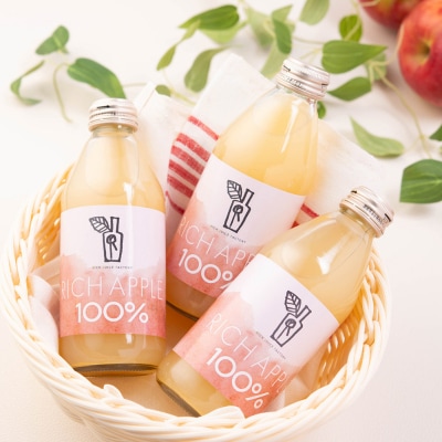【定期便3ヶ月】RICH APPLE りんごジュース12本セット|24_gnk-011203