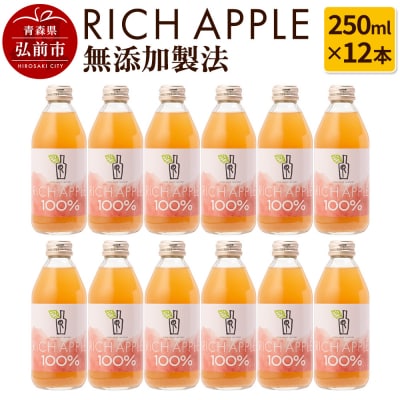 りんごジュース RICH APPLE 無添加製法 12本セット|24_gnk-021201