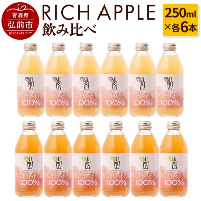 りんごジュース RICH APPLE 飲み比べ 12本セット|24_gnk-031201