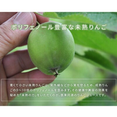 医果同源未熟りんご入り りんごジュース(160g×12本入)|24_irk-011201