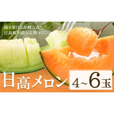 日高メロン 4-6玉 8-9kgのざわ農園