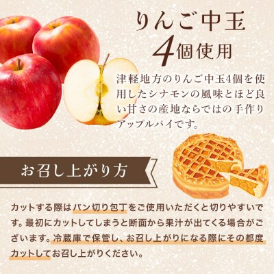 りんごたっぷりパイ18cm 1ホール 洋菓子工房ノエル|24_nel-010101b