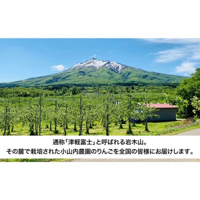 【26年12月発送】りんご サンふじ【秀】家庭用 約3kg 小山内農園|24_osn-030301