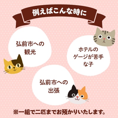 ペット ホテル【一日一組限定】キャットホテル 宿泊券 1泊|24_pwo-010101