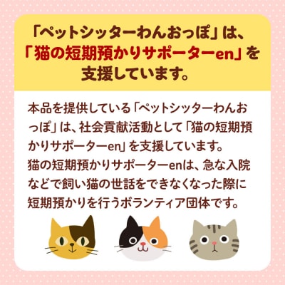 【ワンちゃんネコちゃん用】 ノーズワーク こまちのおはな2個セット|24_pwo-020201