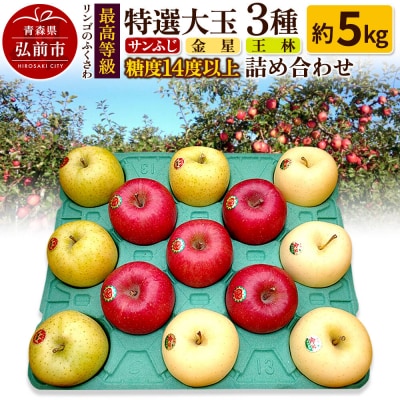 りんご 最高等級特選大玉3種詰め合わせ 約5kg(サンふじ・金星・王林)|24_rfk-020501
