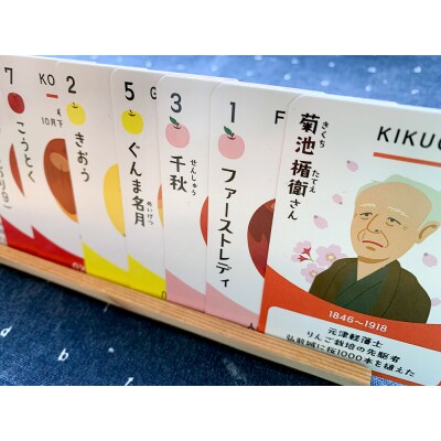 【りんごの歴史を学べるカードゲーム】 あっぷるぱい(牌)|24_rrk-010101