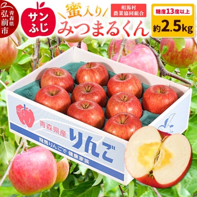 りんご 蜜入り サンふじ(みつまるくん)約 2.5kg 糖度13度以上|24_snk-040201
