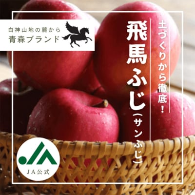 りんご 糖度14度以上 「 飛馬ふじ 」(サンふじ)約 2.5kg|24_snk-060201