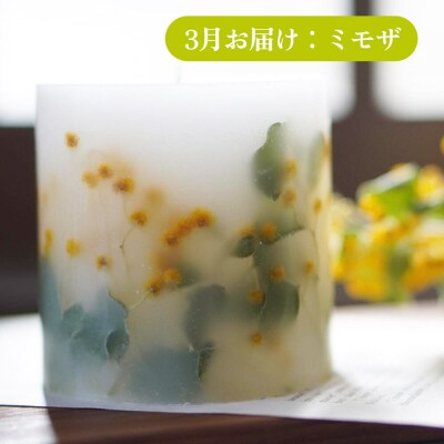 《定期便全4回》配送月固定 ボタニカル キャンドル  全4個|24_sra-070104