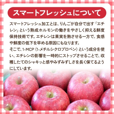 りんご 贈答用 白熊 シナノスイート 約3kg(9～12玉程度)|24_srk-010301