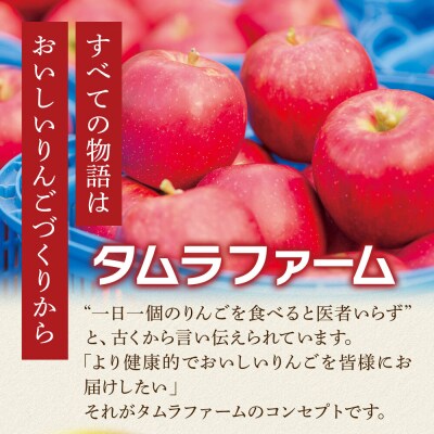 タムラシードルセット BRUT・SEC 750ml×各1本 計2本|24_tmf-020201