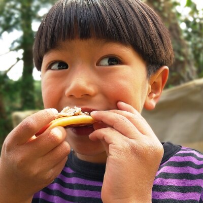米粉でつくった 森のホットケーキミックス 10袋セット