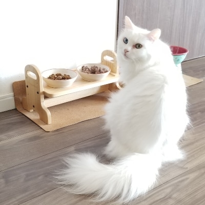 森のジビエ for PET 鹿肉ミンチ(小分けパック)　1kg