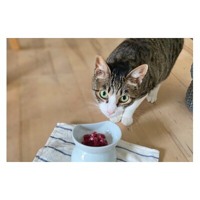 森のジビエ for PET 鹿肉ミンチ(小分けパック)　1kg