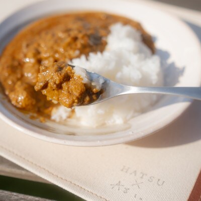 Sustainable SIKA カレー1食とランチョンマット1個のセット