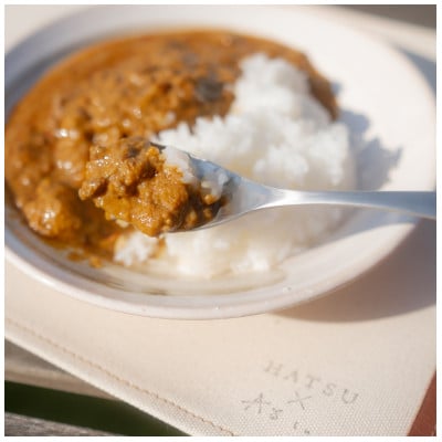 Sustainable SIKA カレー2食とランチョンマット2個のセット