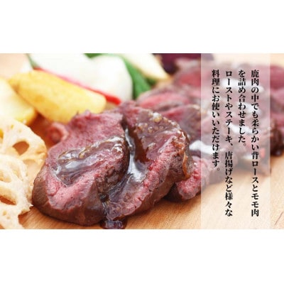 森のジビエ 鹿肉 ブロック おまかせ詰合せ700g以上