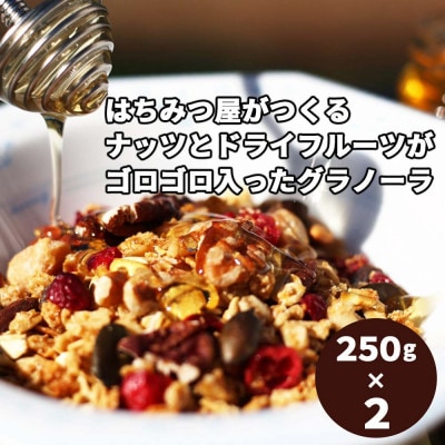 ノラノーラ:ミケ&クロ 簡易包装2個セット(250g×2)