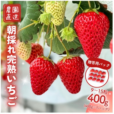 西粟倉村 完熟いちご 贈答用 400g