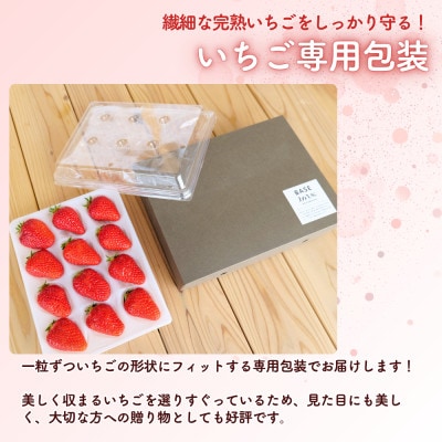 西粟倉村 完熟いちご 贈答用 400g
