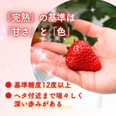 西粟倉村 完熟いちご 贈答用  2種 800g(400g×2パック) 食べ比べセット