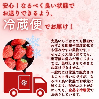 西粟倉村 完熟いちご 贈答用  2種 800g(400g×2パック) 食べ比べセット