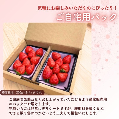 西粟倉村 完熟いちご 自宅用 400g(200g×2パック)