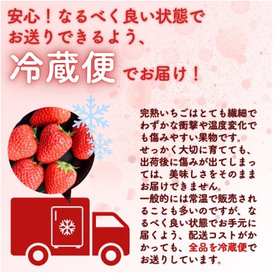 西粟倉村 完熟いちご 自宅用 800g(200g×4パック)