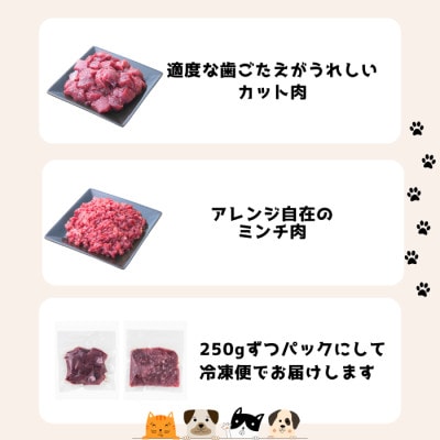 森のジビエ for PET 鹿肉　カット&ミンチ 4kgセット