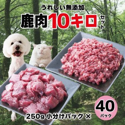 森のジビエ for PET 鹿肉　カット&ミンチ10kg