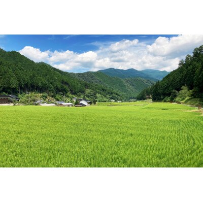 【毎月定期便】あわくら源流米「あきたこまち」白米10kg全3回