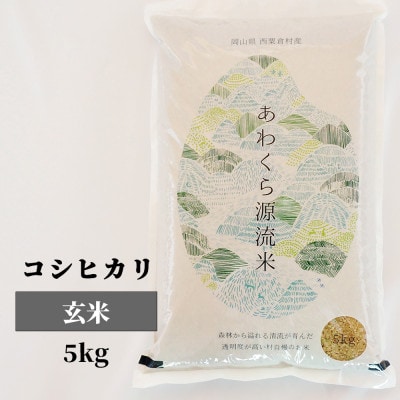 【毎月定期便】あわくら源流米コシヒカリ 玄米5kg全3回