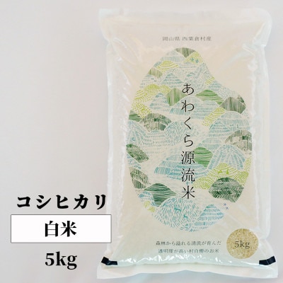 【毎月定期便】あわくら源流米「コシヒカリ」白米5kg全3回