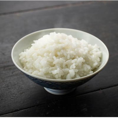 【毎月定期便】あわくら源流米「コシヒカリ」白米10kg全3回