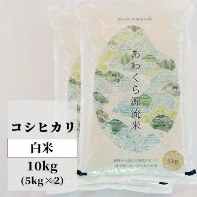 【毎月定期便】あわくら源流米「コシヒカリ」白米10kg全6回