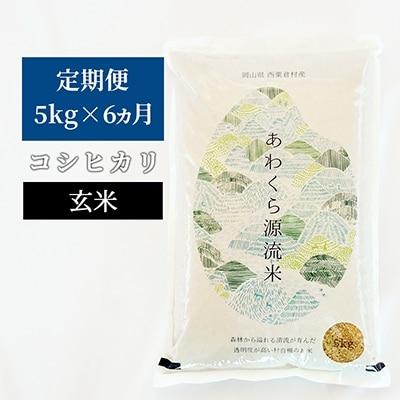 2021年12月発送開始『定期便』【令和3年産】あわくら源流米 コシヒカリ 玄米5kg 全6回