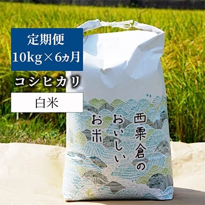 2022年2月発送開始『定期便』【令和3年産】あわくら源流米 コシヒカリ 白米10kg 全6回