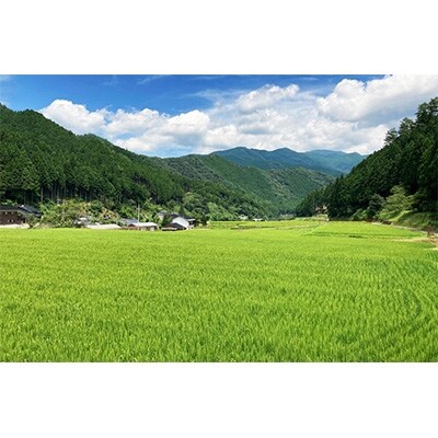 2022年3月発送開始『定期便』【令和3年産】あわくら源流米 コシヒカリ 白米5kg 全6回