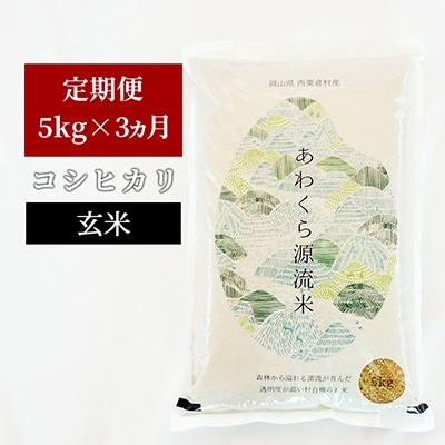 2022年1月発送開始『定期便』【令和3年産】あわくら源流米 コシヒカリ 玄米5kg 全3回
