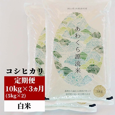 2023年2月発送開始『定期便』【令和4年産】あわくら源流米 コシヒカリ 白米10kg　全3回