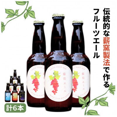 フルーツエール&定番3種詰め合わせセット