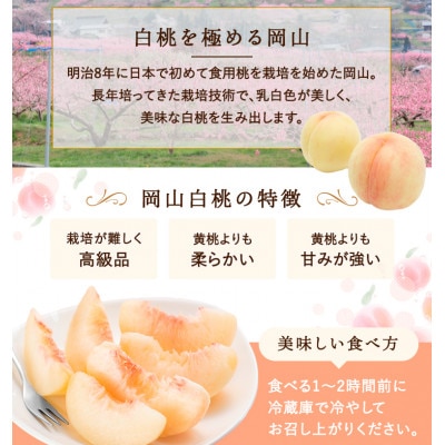 【2026年発送】岡山県産　白桃 8玉(2.0kg以上) 等級:ロイヤル 化粧箱入り