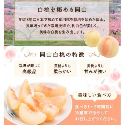 【2026年発送】岡山県産　白桃 5玉(1.5kg以上) 等級:ロイヤル 木箱入り