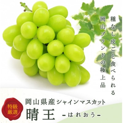 【2026年発送】岡山県産 シャインマスカット『晴王』3～5房 (約2kg)