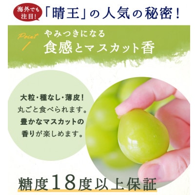 【2026年発送】岡山県産 シャインマスカット『晴王』3～5房 (約2kg)