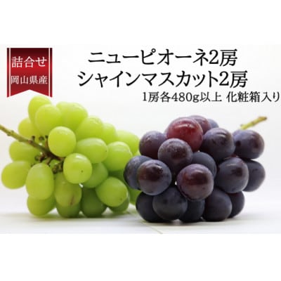 【2026年発送】岡山県産 詰合/ニューピオーネ・シャインマスカット晴王各2房(各1房480g以上)